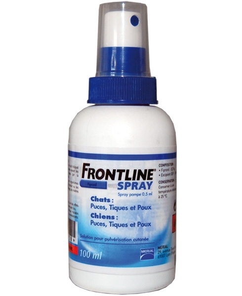 Frontline   -  6