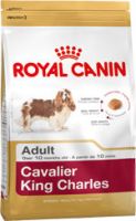 Cavalier King Charles Adult ― Зоомагазин "Четыре лапы"