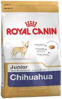 Chihuahua Junior  ― Зоомагазин "Четыре лапы"