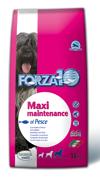 Forza10 Maxi Maintenance (рыба)  ― Зоомагазин "Четыре лапы"