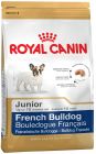 French Bulldog Junior