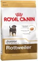 Rottweiler Junior ― Зоомагазин "Четыре лапы"