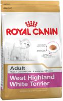 West Highland White Terrier Adult  ― Зоомагазин "Четыре лапы"