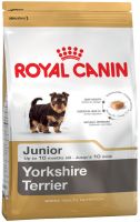 Yorkshire Terrier Junior ― Зоомагазин "Четыре лапы"