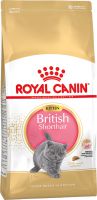 British Shorthair Kitten ― Зоомагазин "Четыре лапы"