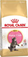 Maine Coon Kitten  ― Зоомагазин "Четыре лапы"
