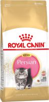 Persian Kitten  ― Зоомагазин "Четыре лапы"